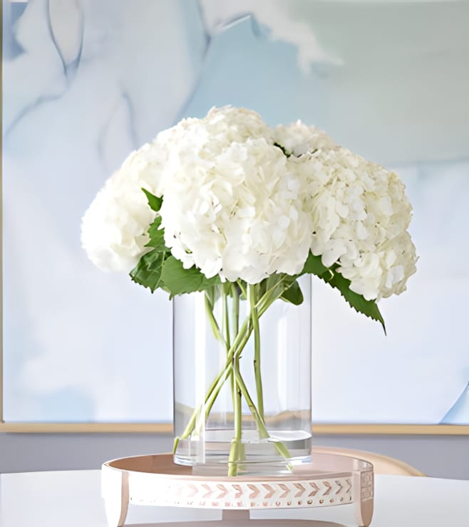 باقة من الرقي الخالص