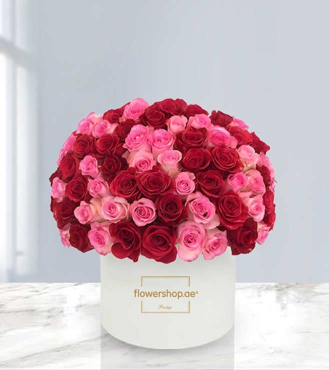 صندوق قبعات روزي إنشانتمنت