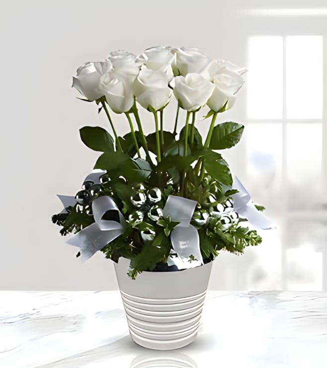 باقة روعة الهدوء