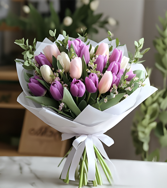 همس زهور التوليب في الربيع