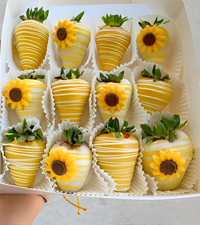 فراولة مغموسة بالشمس