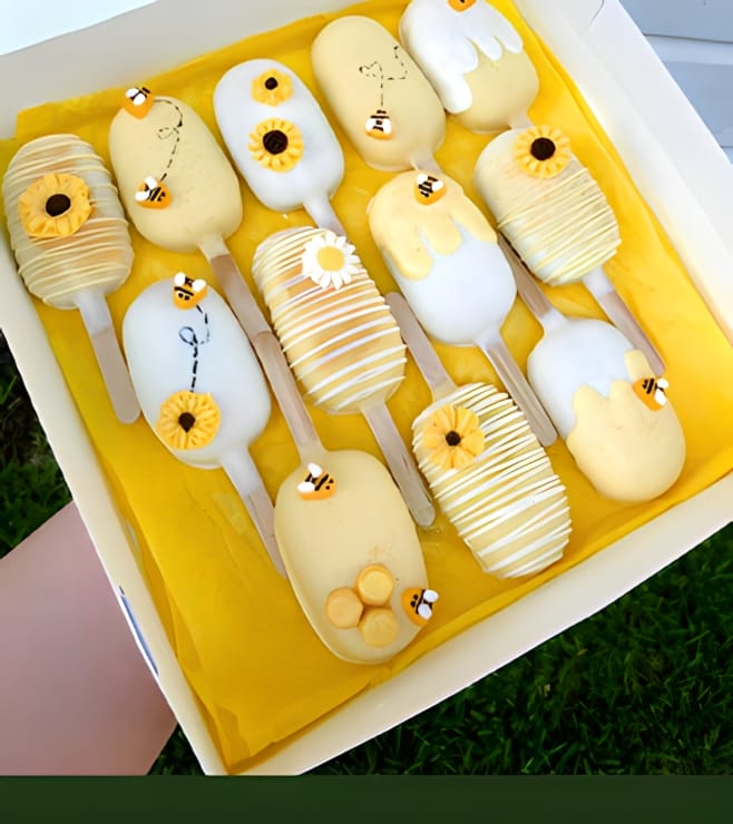 كعكات سانسبلاش المثلجة