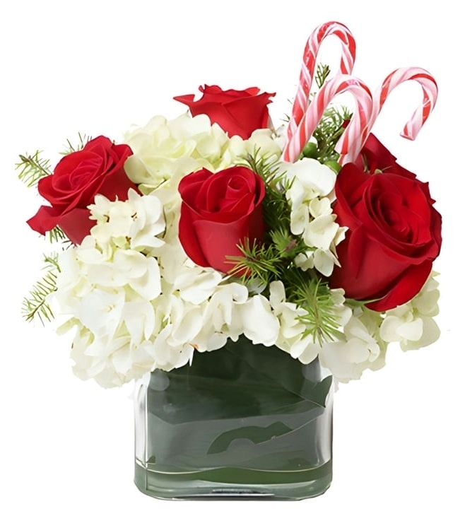 مكعب حلوى قصب السكر الحلو