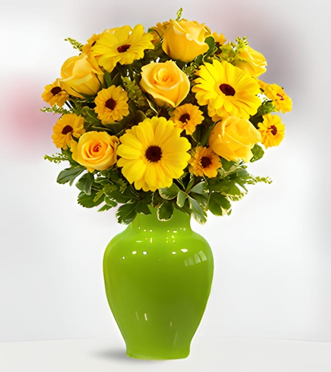 باقة ضوء النهار