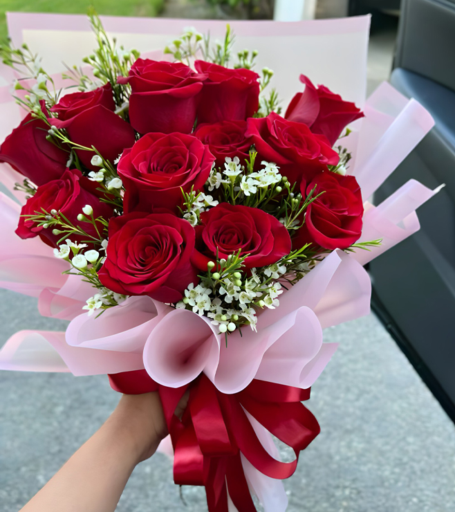 أناقة الوردة المخملية