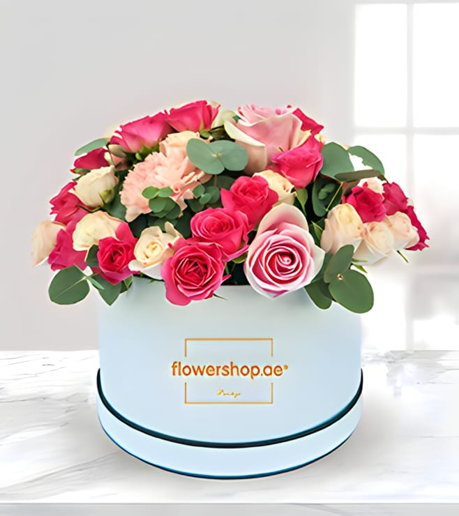 صندوق قبعات نابض بالحياة