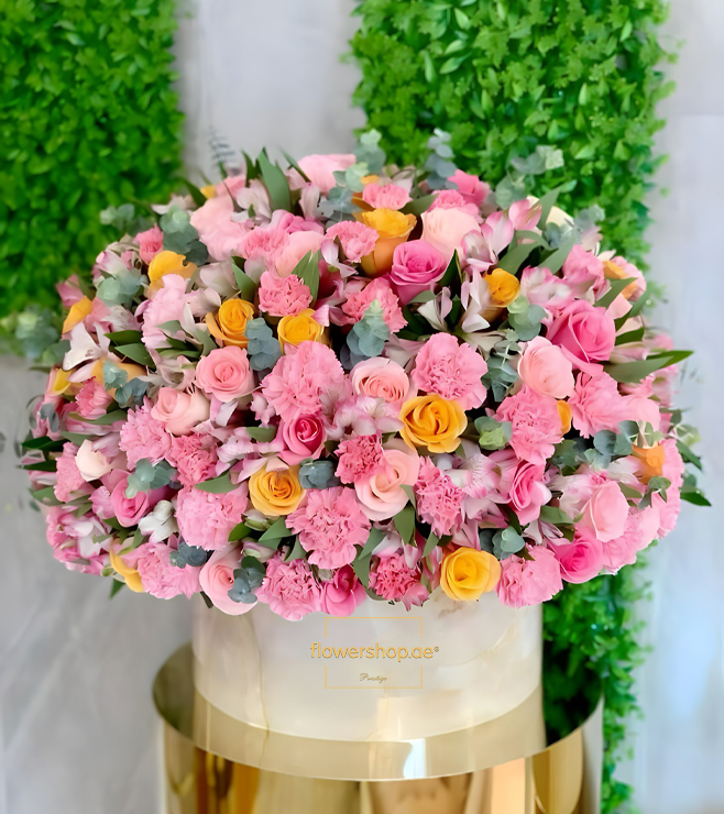 صندوق قبعات ويندرلاند الغريب، مجموعة فاخرة