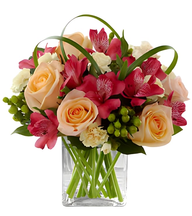 باقة "أجلو" الكاملة، تعازي