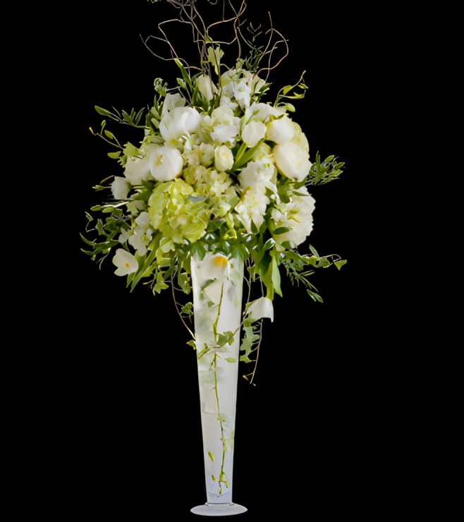 أناقة انتقائية، أوركيد