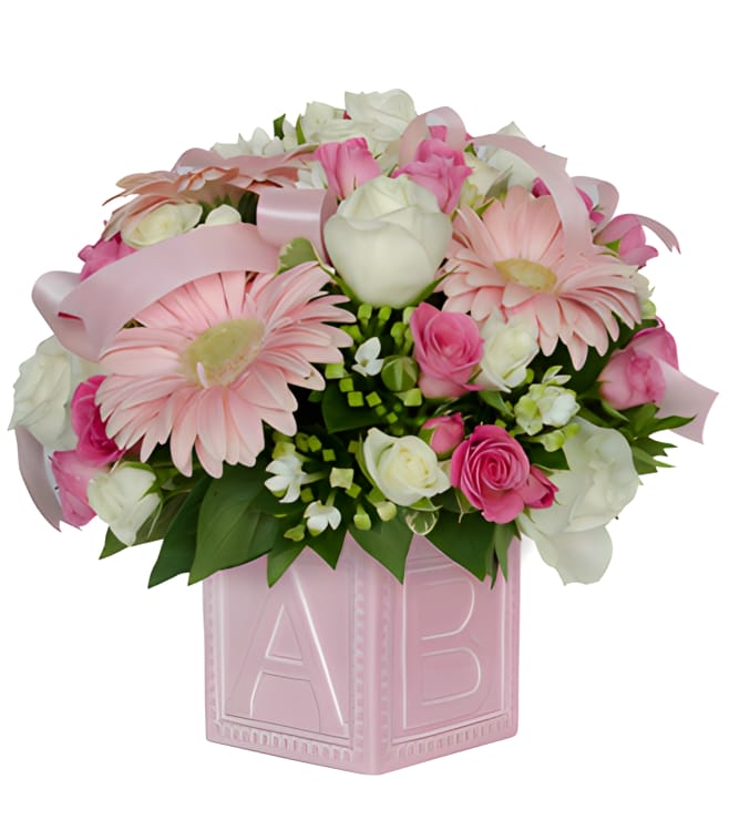 أول مكعبات الطفل - وردي، مولود جديد