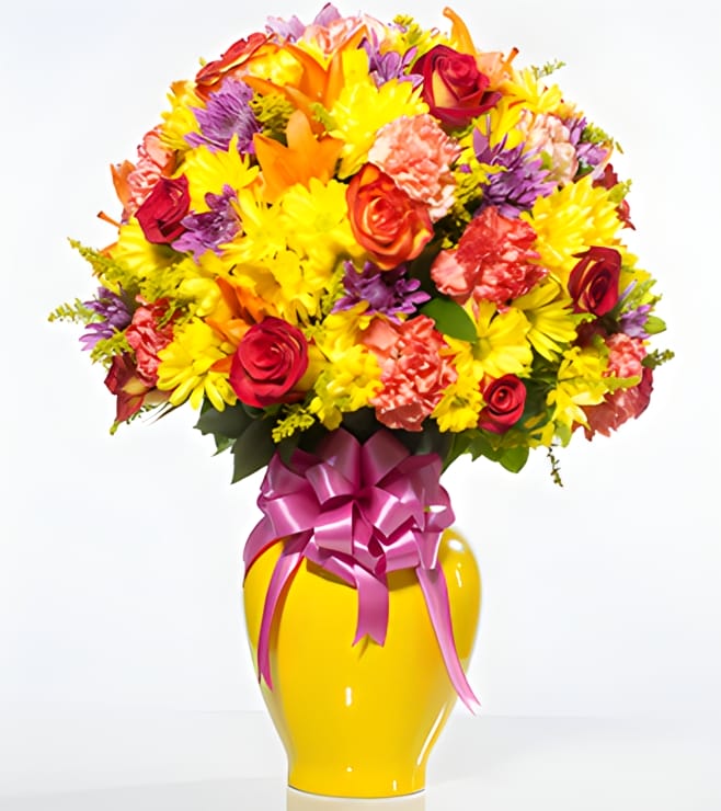 مرحى ديانت، أنا آسف