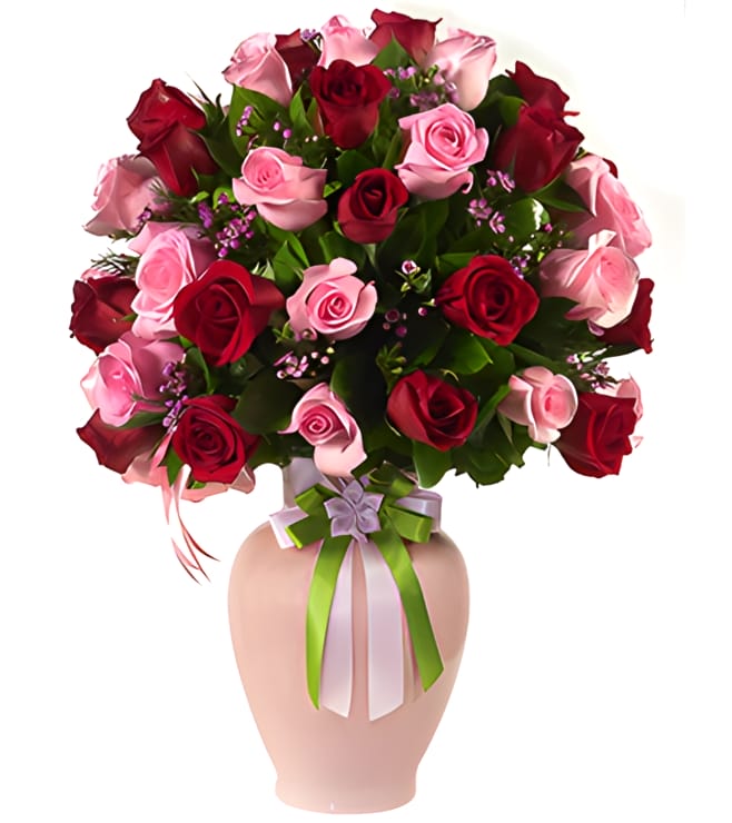 ظلال من اللون الوردي والأحمر، زهور عيد الحب