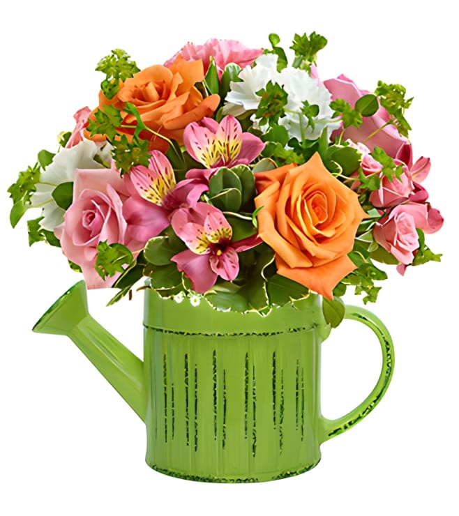 أمطار من الزهور، توصيل الهدايا خلال ساعة واحدة