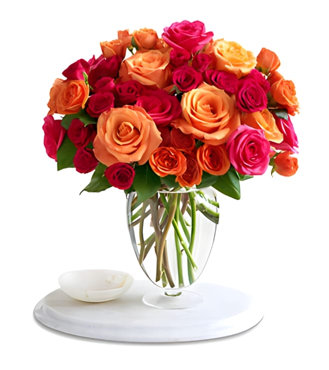 50 Multicolor Roses, Flowers