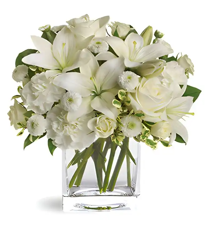 باقة السلام والفرح