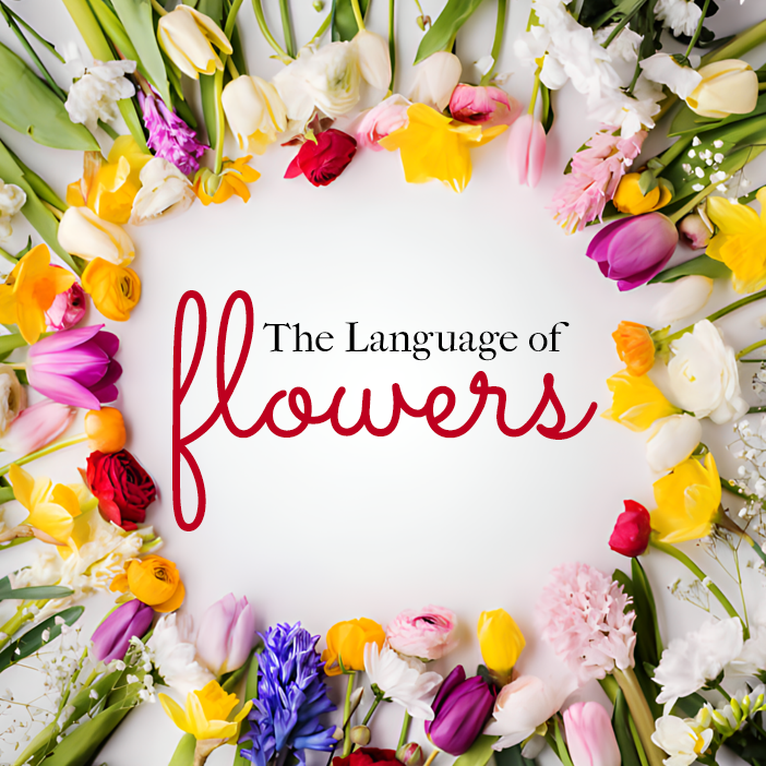 The Language of Flowers: What Your Favorite Blooms Say About You