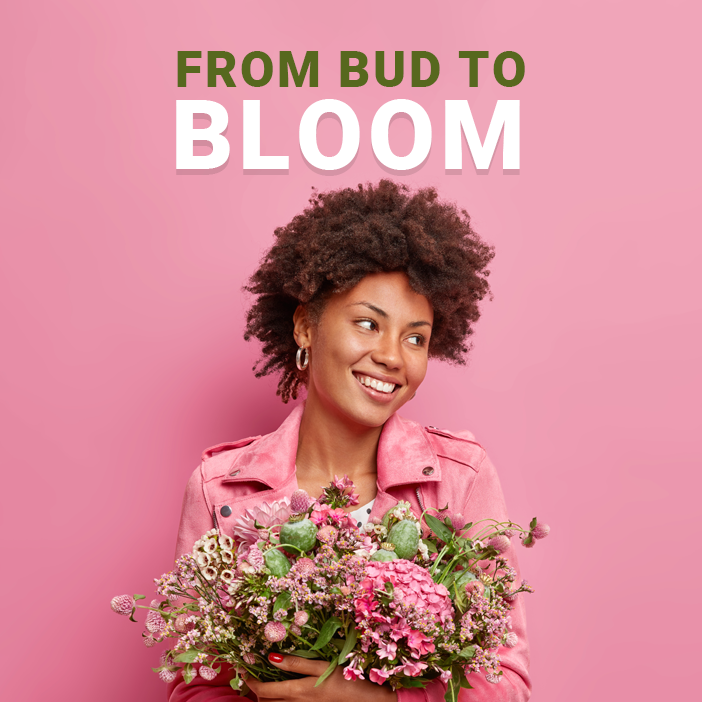 From Bud to Bloom: Understanding the Lifecycle of Flowers