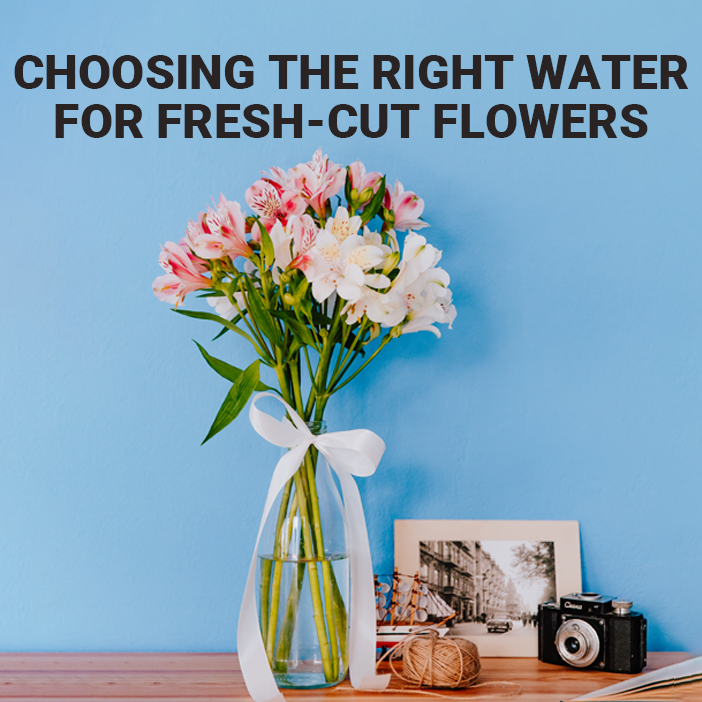 Choosing the Right Water for Fresh-Cut Flowers