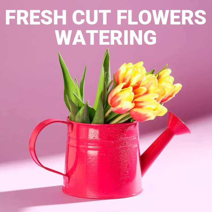 Fresh Cut Flowers Watering