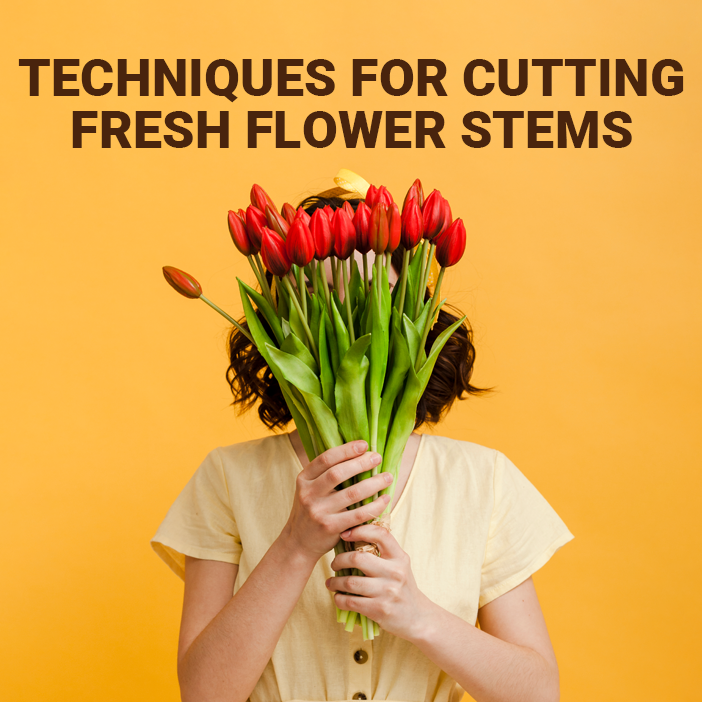 Expert Techniques for Cutting Fresh Flower Stems