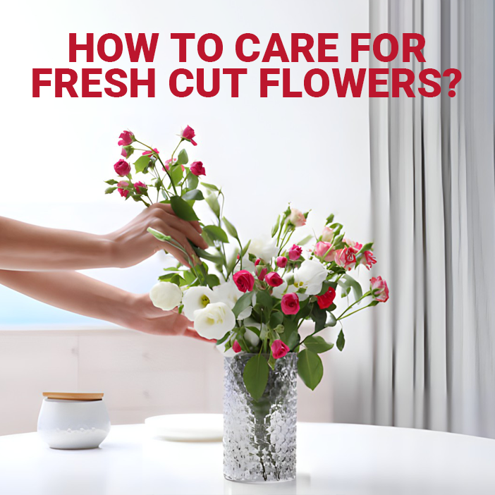 How to Care for Fresh Cut Flowers?