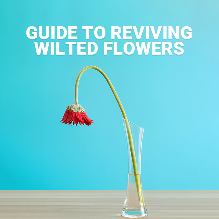 The Ultimate Guide to Reviving Wilted Flowers
