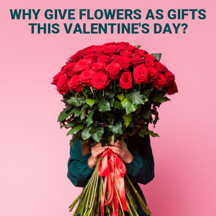 Why Give Flowers as Gifts This Valentine\'s Day?