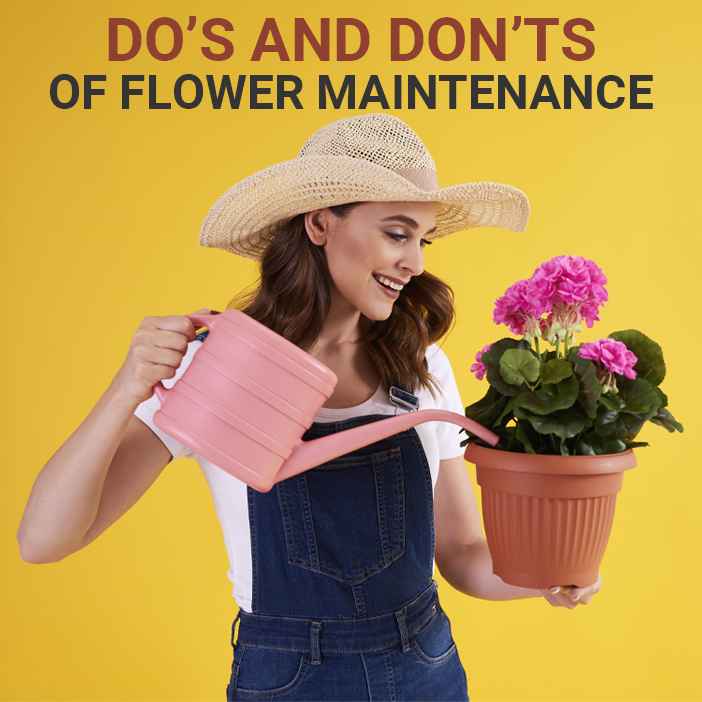 Do’s and Don’ts of Flower Maintenance