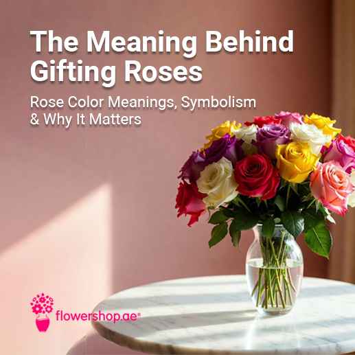 The Meaning Behind Gifting Roses