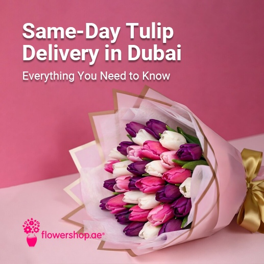 Same-Day Tulip Delivery in Dubai: Everything You Need to Know