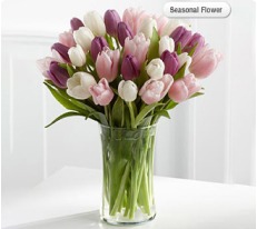 pink flower, Sharjah Flower Delivery