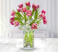 butterfly flowers, Sharjah Flower Delivery