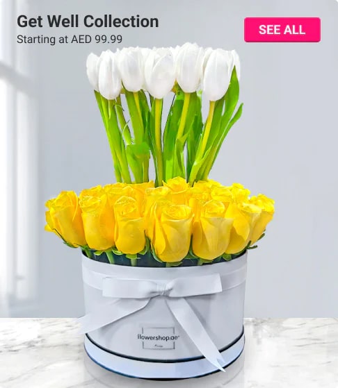 get well soon gifts, Sharjah Flower Delivery