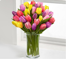 Color Assorted Tulip Bouquet, flower delivery in Abu Dhabi