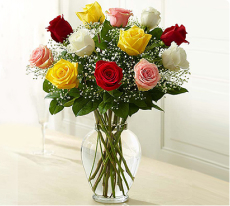 Multicolor Rose Elegance, flower delivery in Abu Dhabi