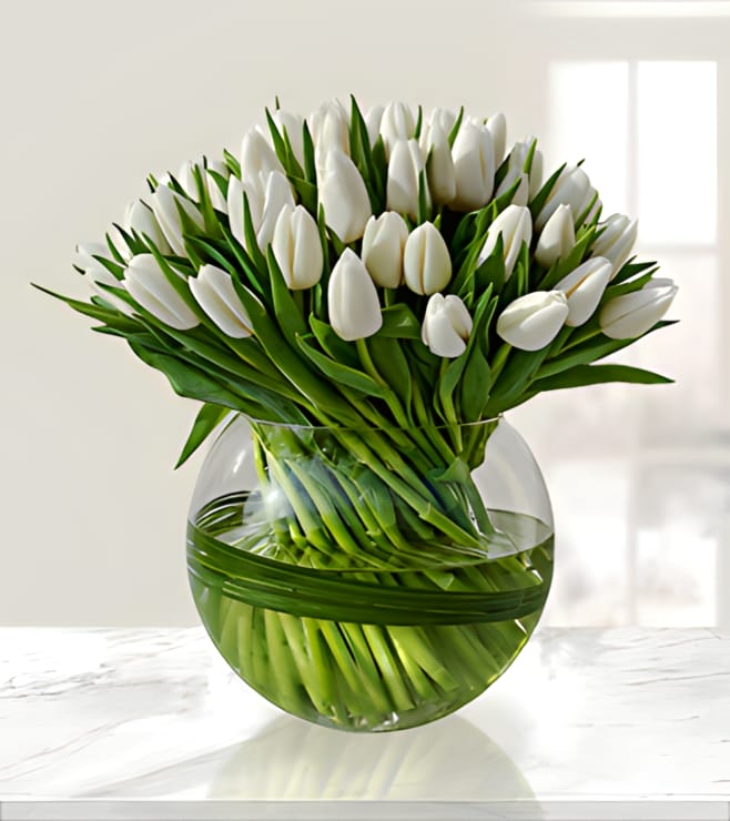 100 White Tulips, Tulips