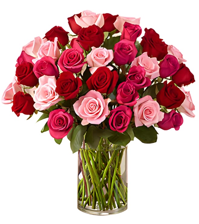 Enchanted Rose Medley, Valentine Flowers