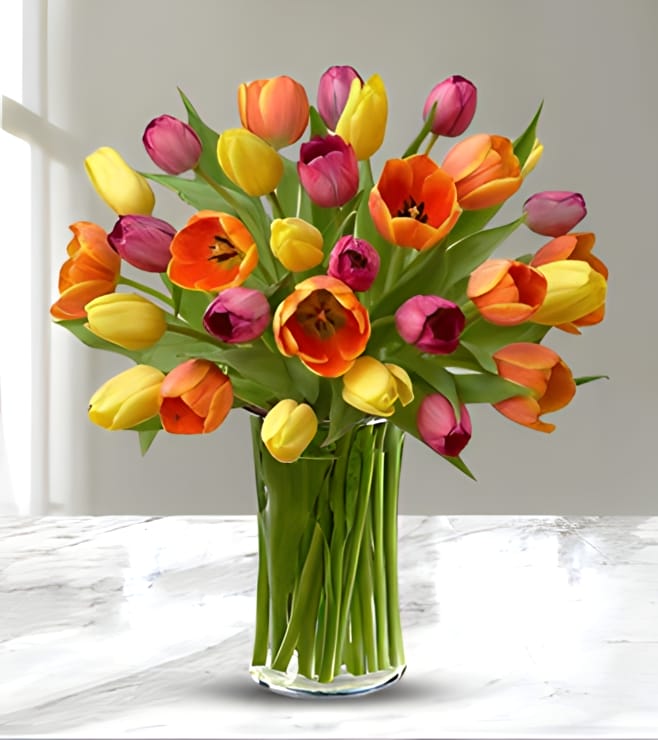 Multicolored Tulips, Tulips