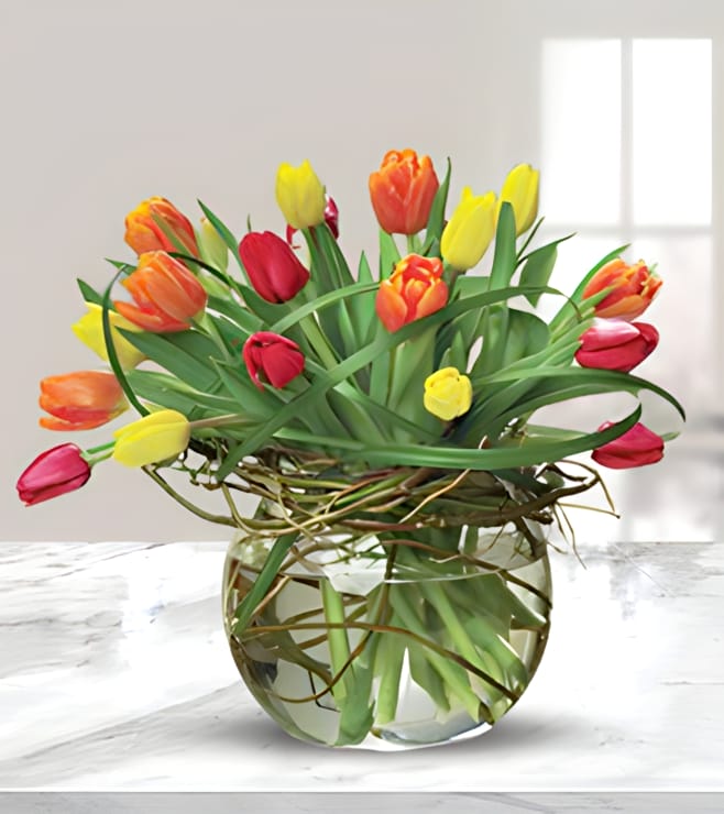 Contemporary Style Tulips, Tulips