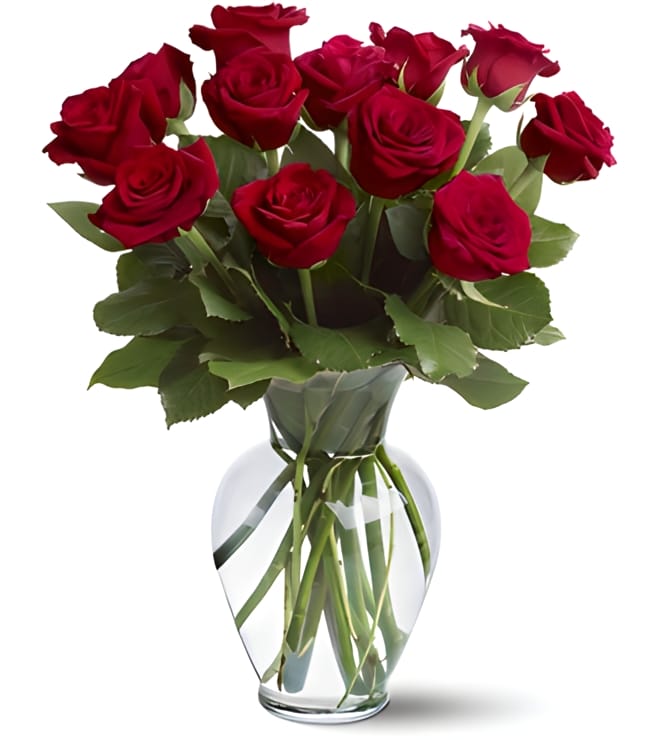 12 Red Roses, Congratulations