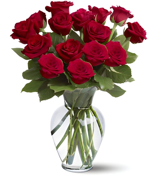 15 Red Roses