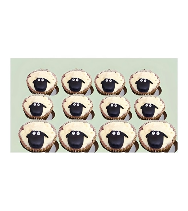 Curious Sheep Cupcakes