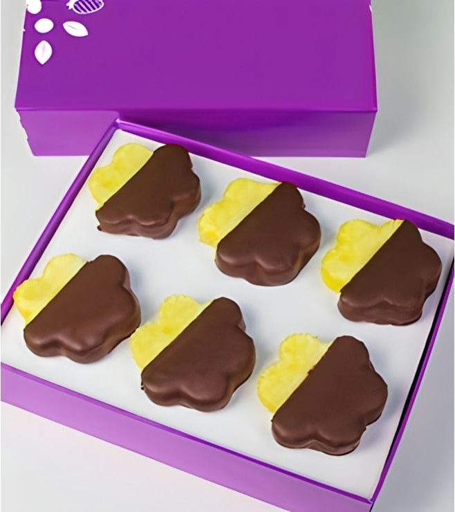Chocolate Dipped Pineapple Daisies - Half Dozen, Boxes of Chocolate Covered Fruit