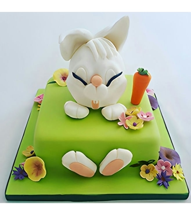 Bunny Fun Cake