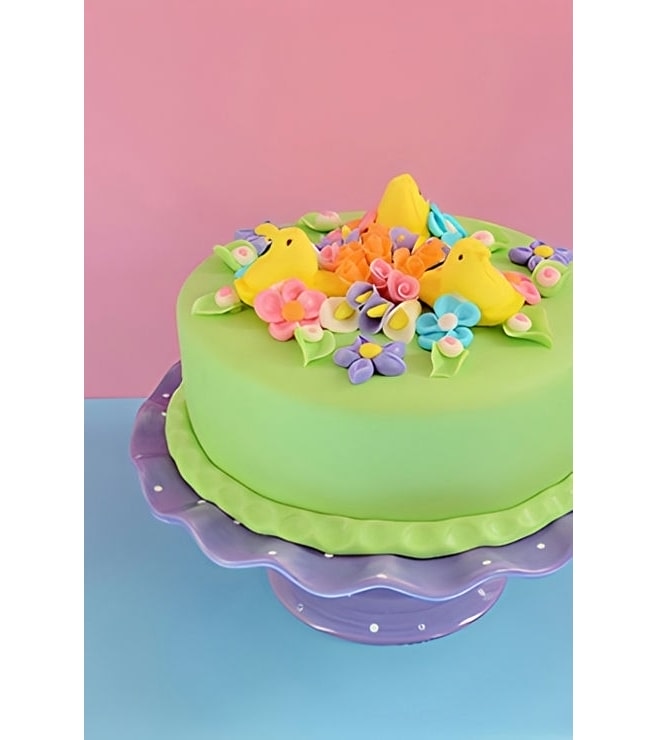 Spring Hatchlings Cake