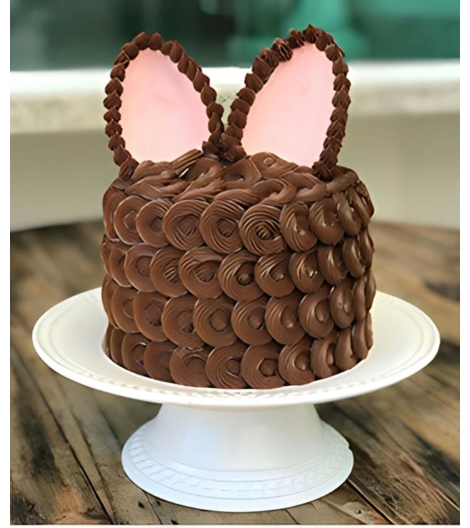 Frosted Chocolate Bunny Cake