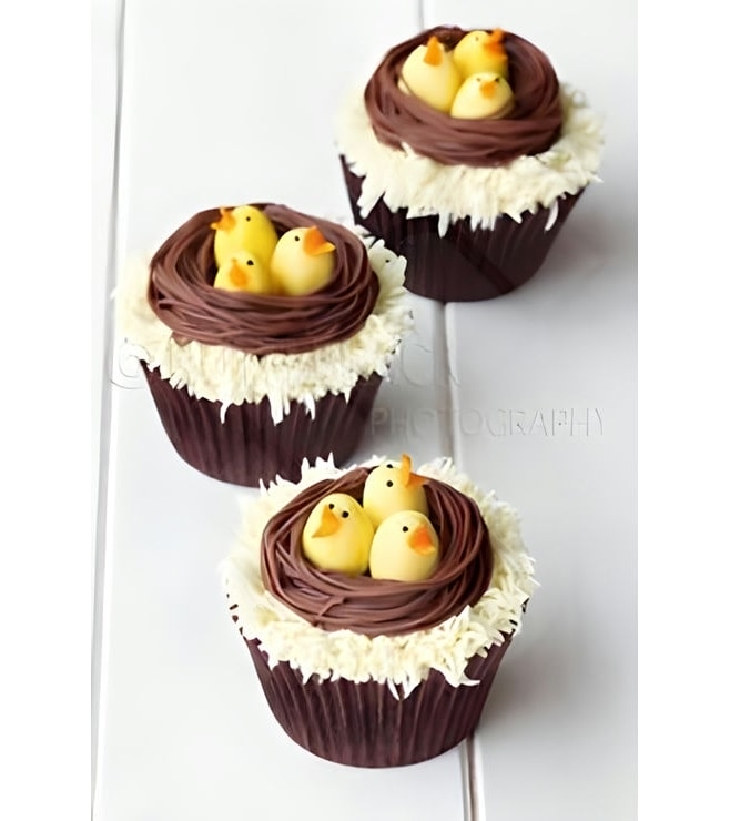 Hungry Hatchlings Cupcakes