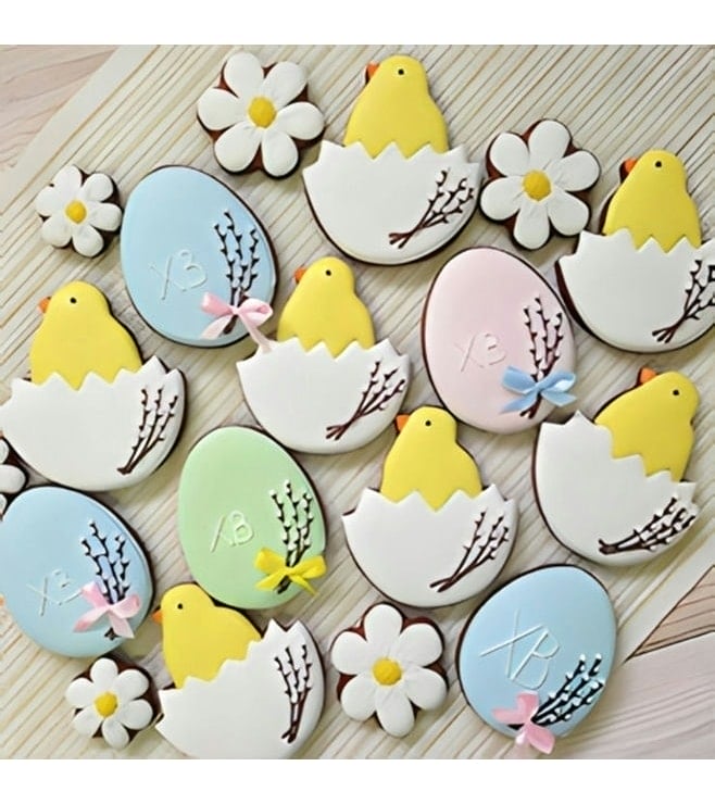 Spring Hatchlings Cookies