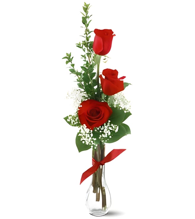 3 Red Roses, Black Friday Deals