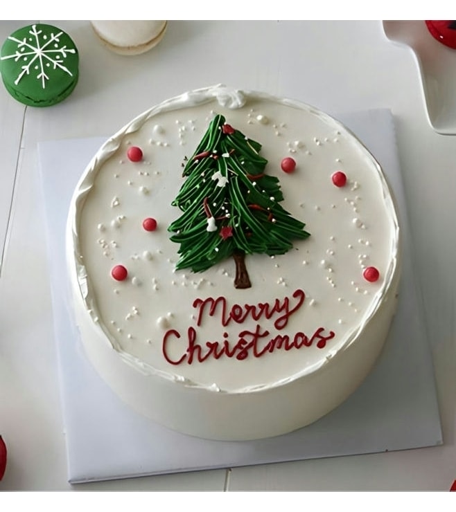 Merry Christmas Cake